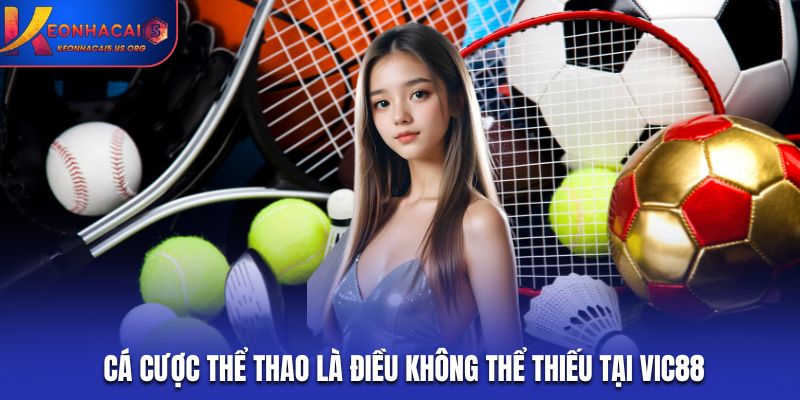Cá cược thể thao là điều không thể thiếu tại Vic88